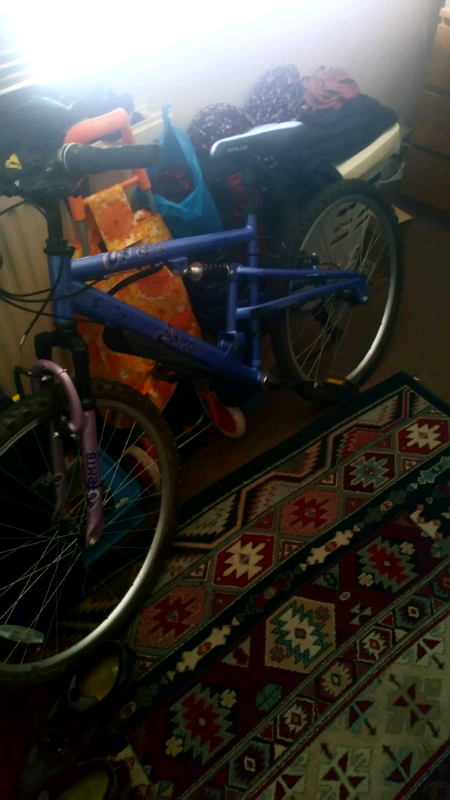 milton ladies cycle price